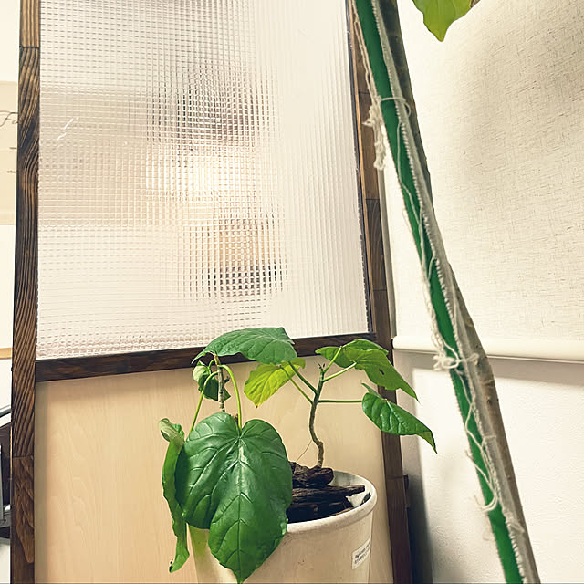 hirariさんの部屋