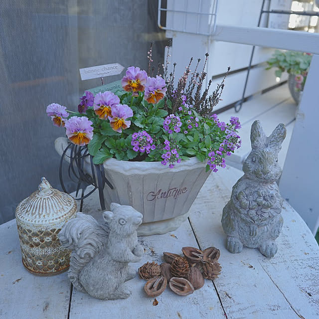 KNさんの実例写真