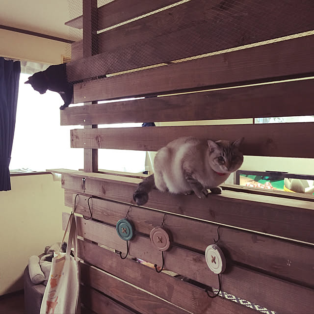 RKKさんの実例写真