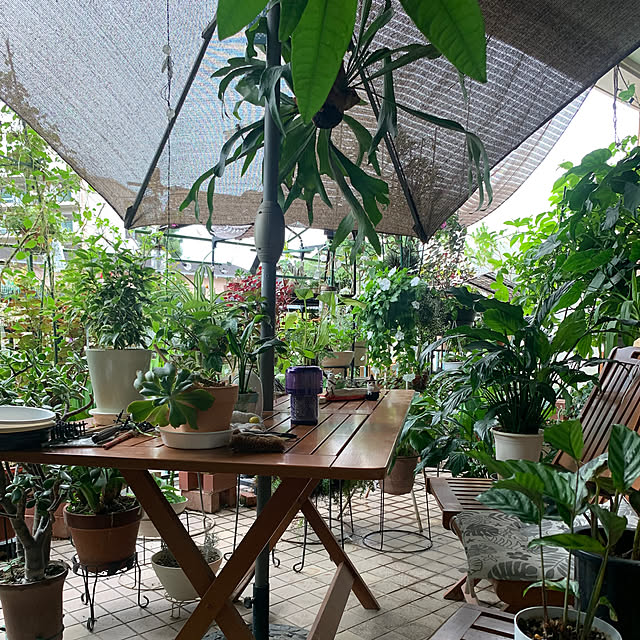 Aqettyさんの部屋