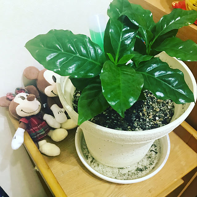 Ravichyanさんの実例写真