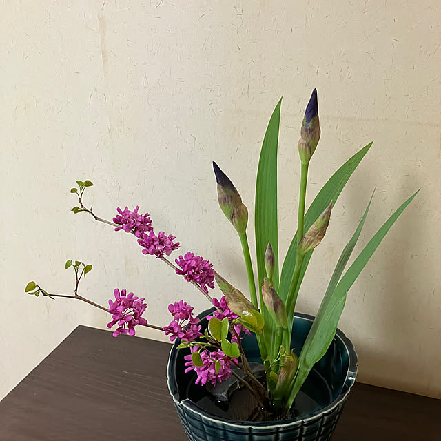 ikubooさんの部屋