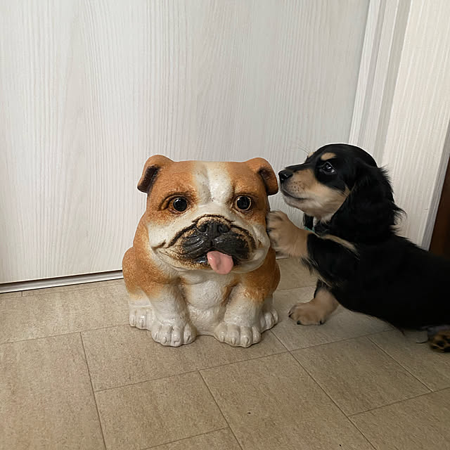 uninekoさんの実例写真