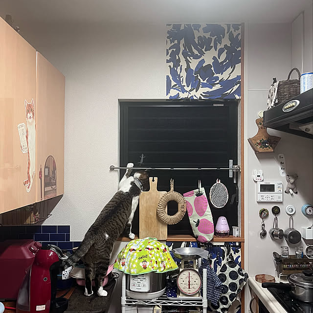 jijiさんの実例写真