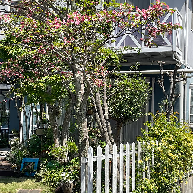 nobikoさんの部屋