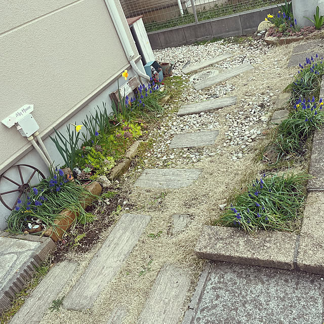 pekoさんの実例写真