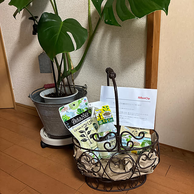 実例写真