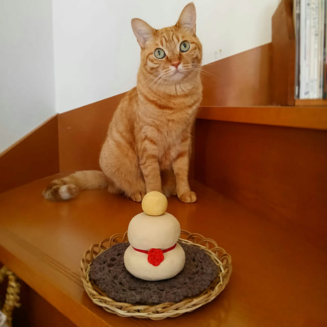 mayutan.さんの実例写真