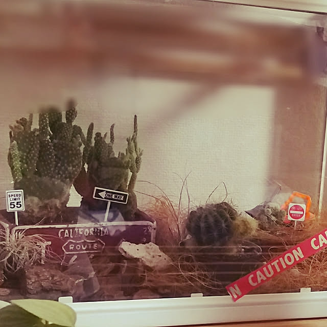 Ginさんの実例写真