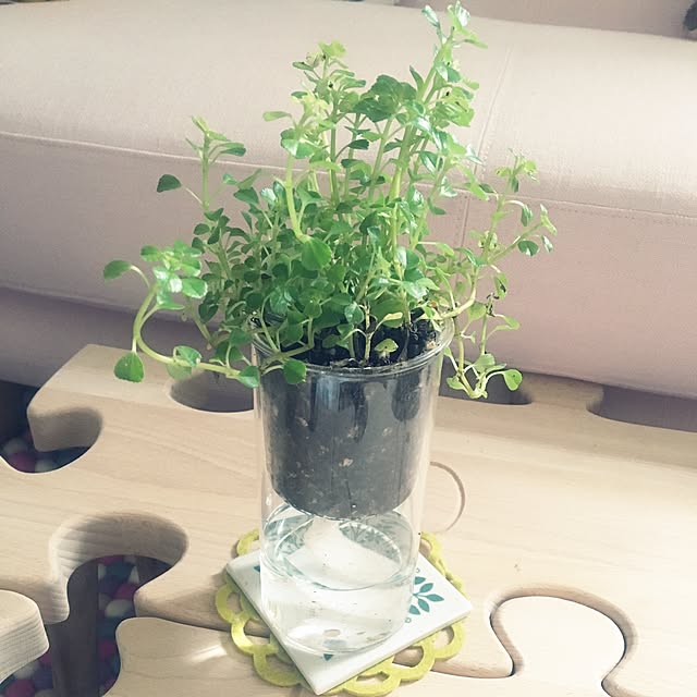 spoilchris0819さんの実例写真