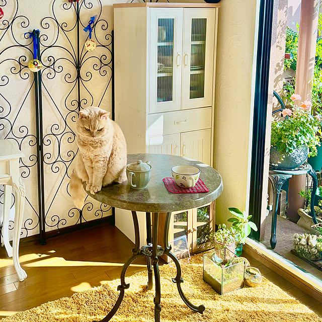 naokoさんの実例写真