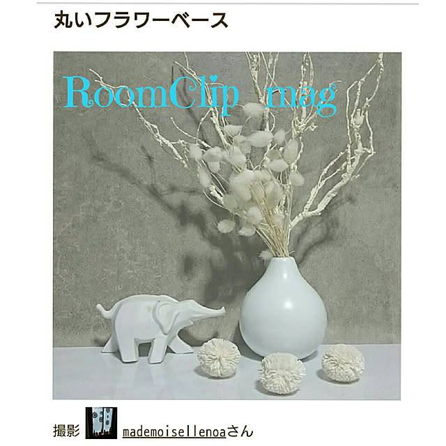 vol.1538写真