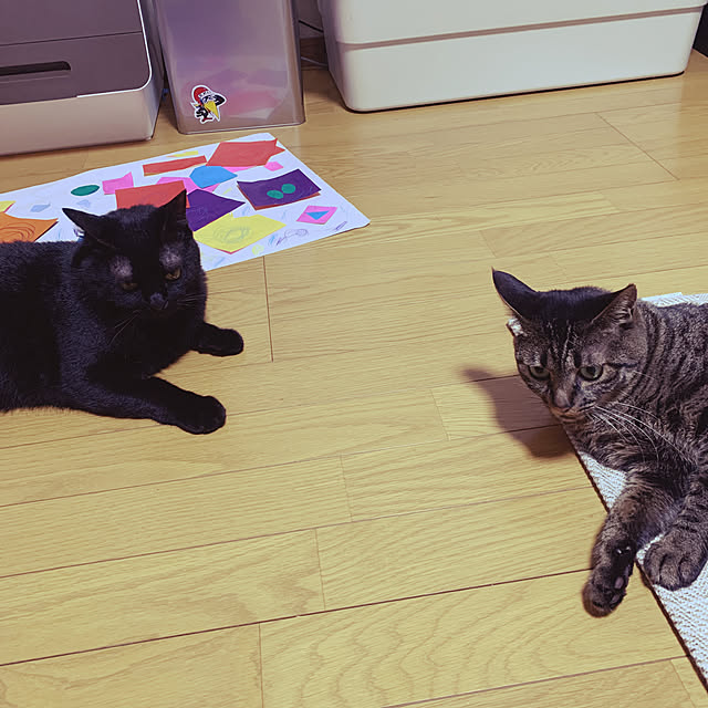kuromiさんの実例写真