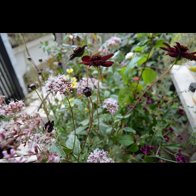GreenWorksさんの実例写真