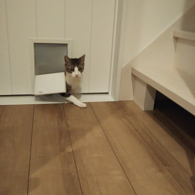 shiiiさんの実例写真