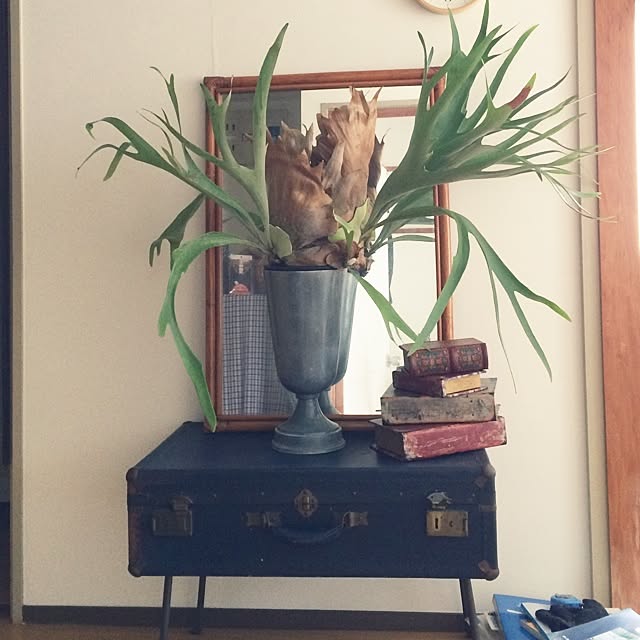maryさんの実例写真