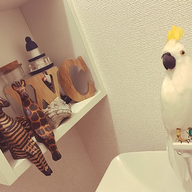 kuwaさんの実例写真