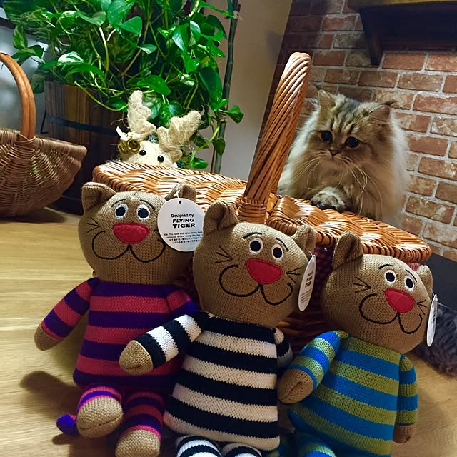 butachanさんの実例写真