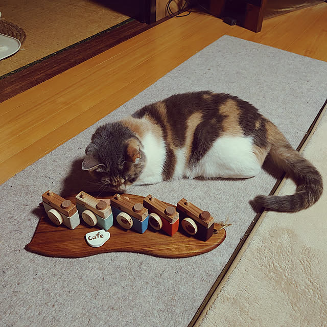 fukuさんの実例写真