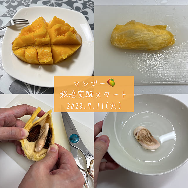 reika111さんの実例写真