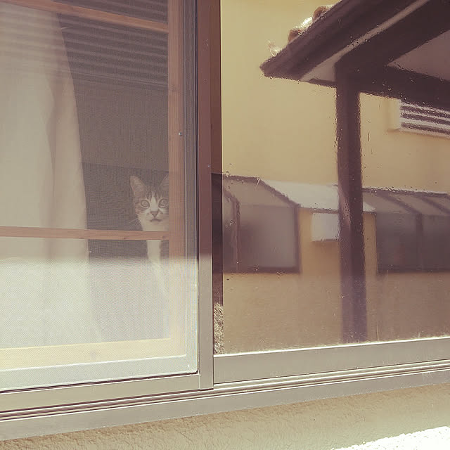 nanaさんの実例写真
