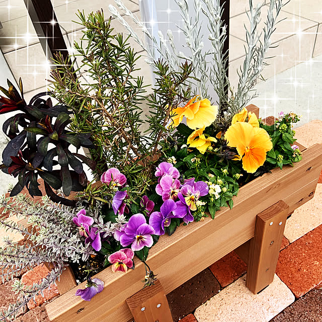 レンガブロック/パンジー寄せ植え/寄せ植え初心者/寄せ植え/WOODPROプランター...などのインテリア実例 - 2022-02-08 14:27:02