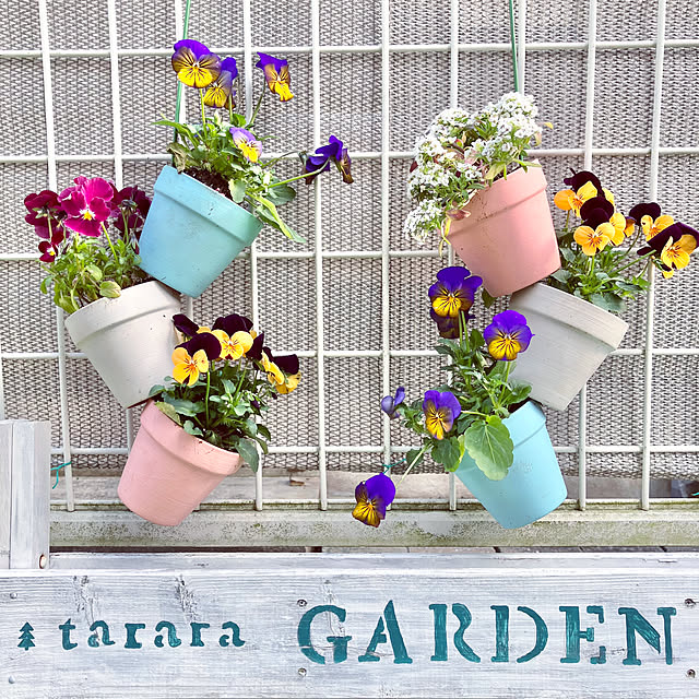 tararaさんの実例写真