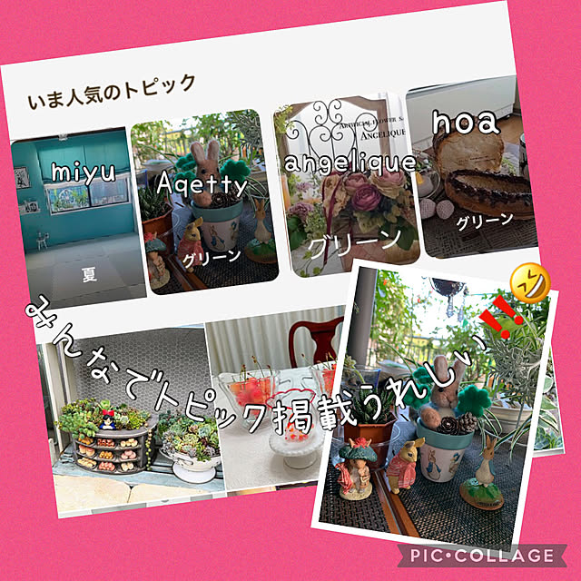 Aqettyさんの実例写真