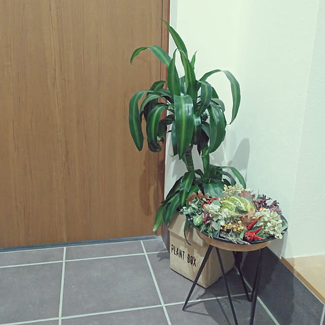 玄関/入り口/平屋の家/置き型リース/観葉植物/秋の玄関...などのインテリア実例 - 2019-11-05 19:47:02