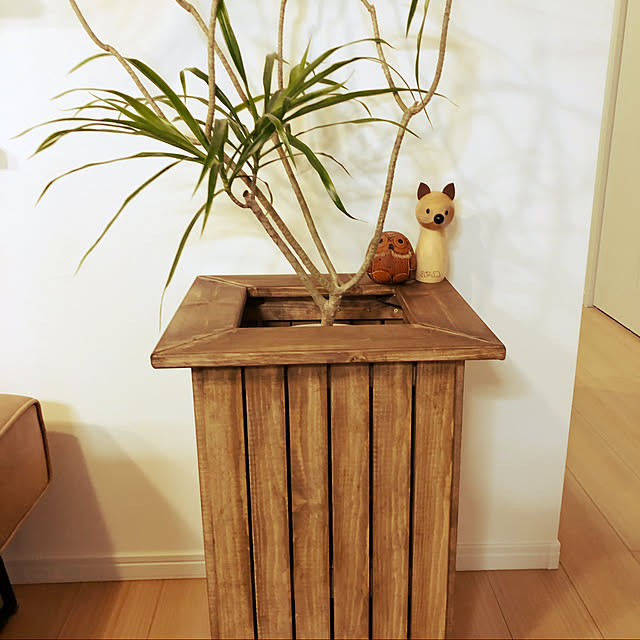 cocoaさんの実例写真