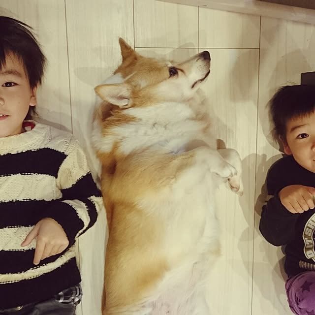 実例写真
