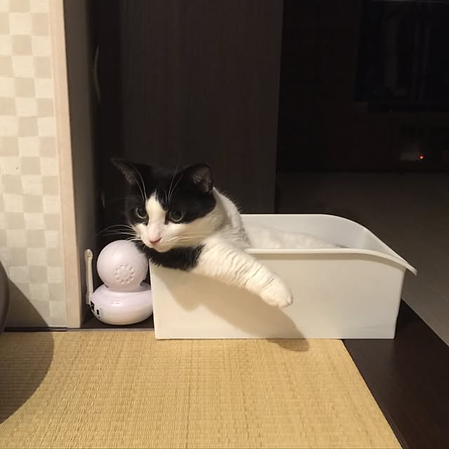 neuruさんの実例写真