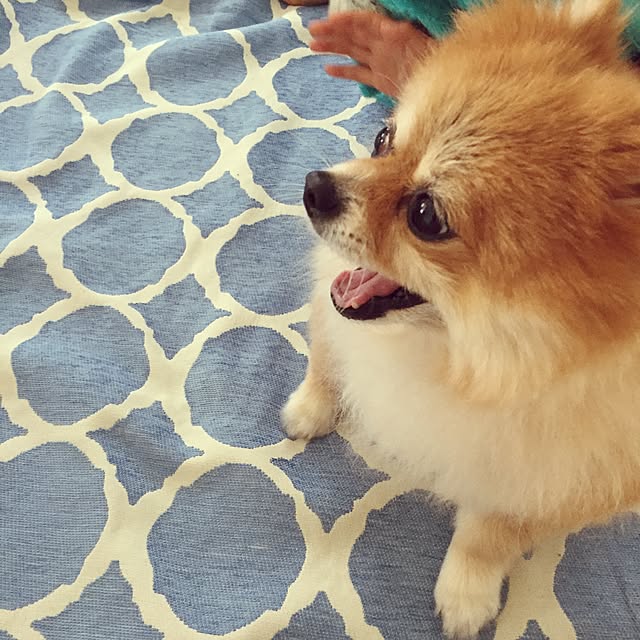 pariさんの実例写真