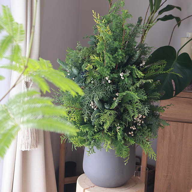 Summerさんの部屋