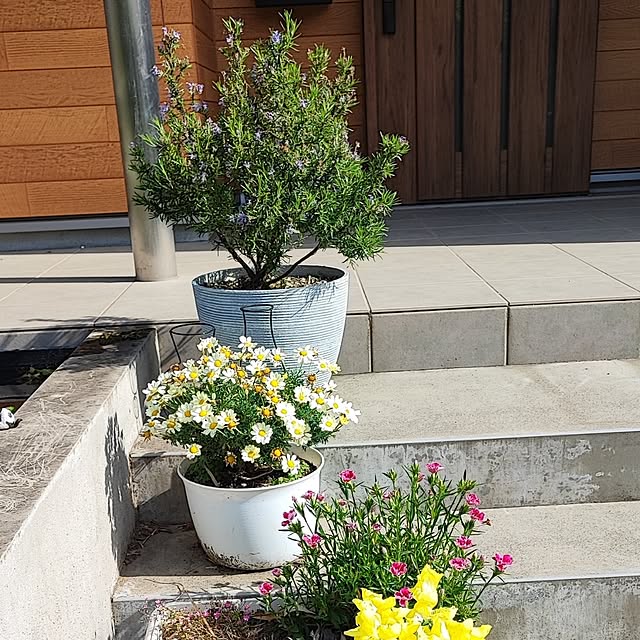 miharunさんの部屋
