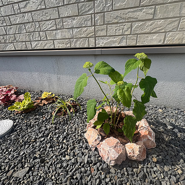 Haruさんの部屋