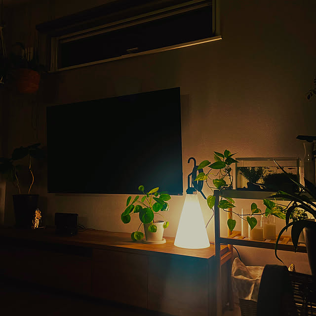 kurinokiさんの実例写真
