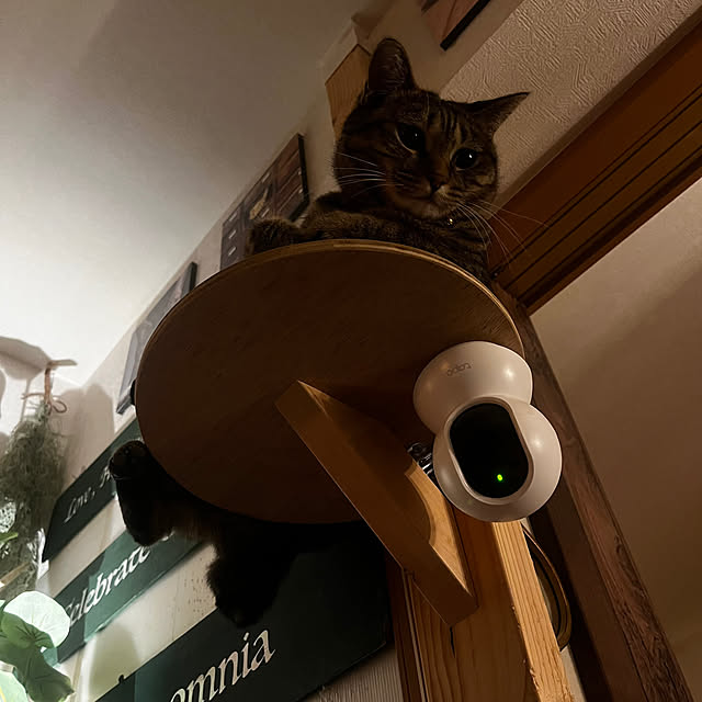 Mさんの実例写真