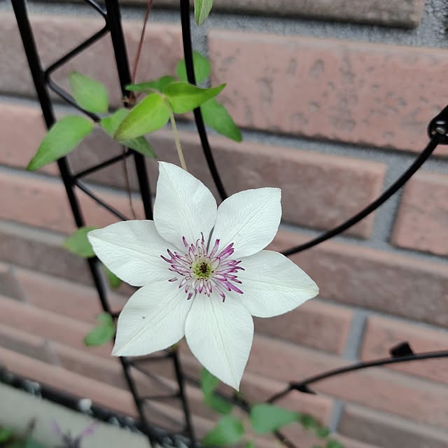 kiraさんの部屋