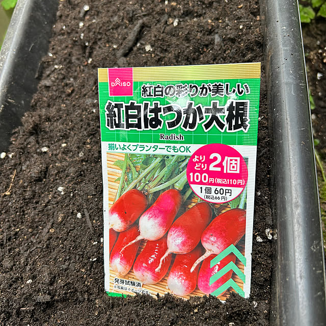 fumikoiさんの部屋