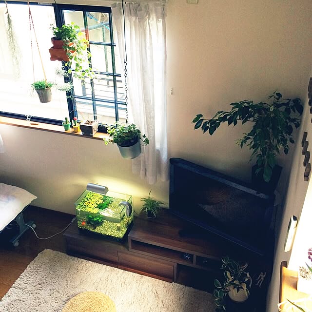 L.さんの実例写真