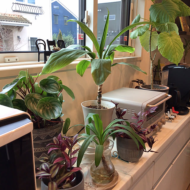 houenさんの部屋