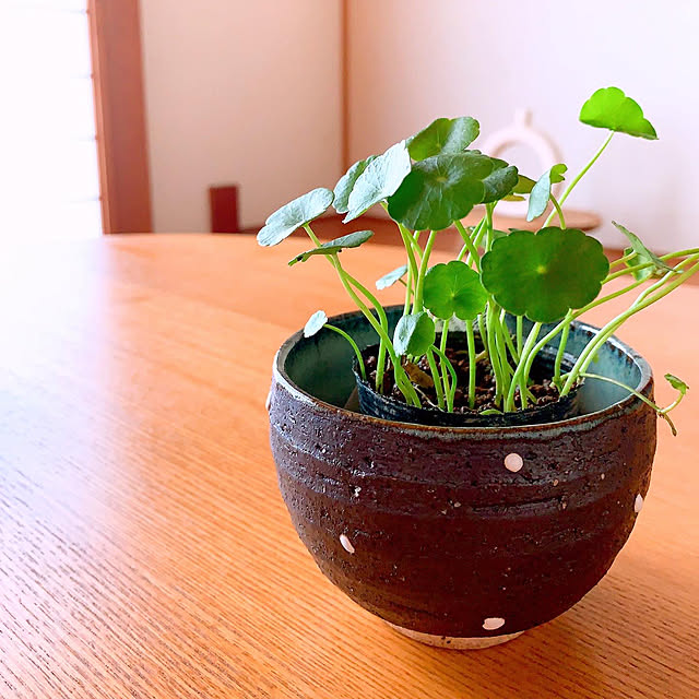 teaさんの部屋