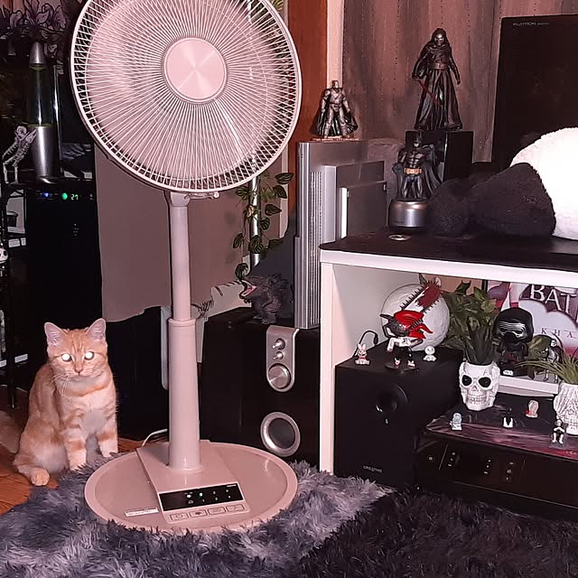 tosi66554さんの部屋