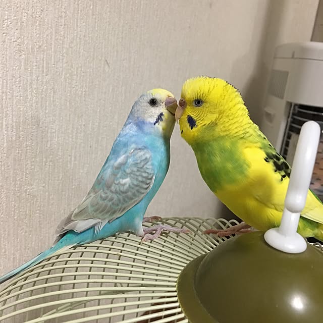 Keisukeさんの実例写真