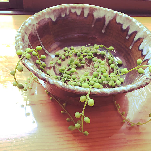 rapurapuさんの実例写真