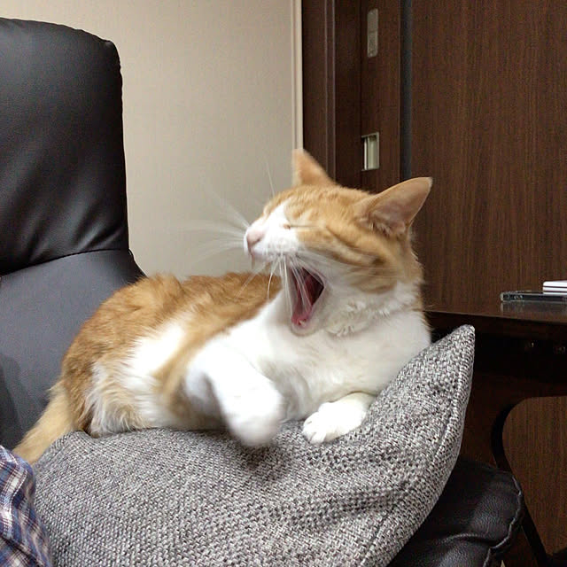 houenさんの実例写真