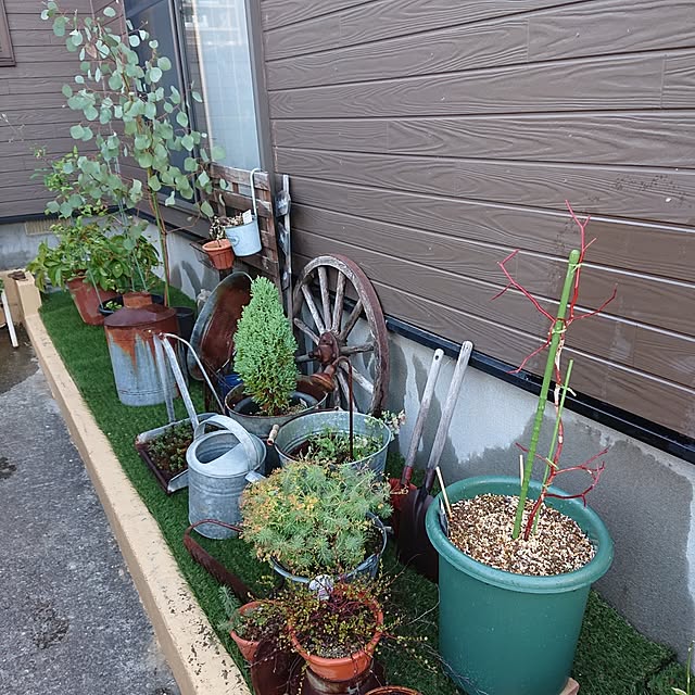 tikuwaさんの実例写真