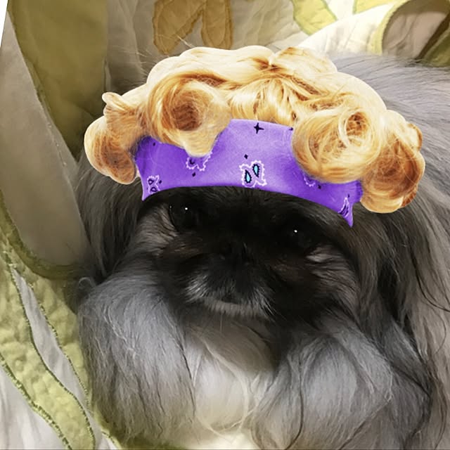 miyokoさんの実例写真