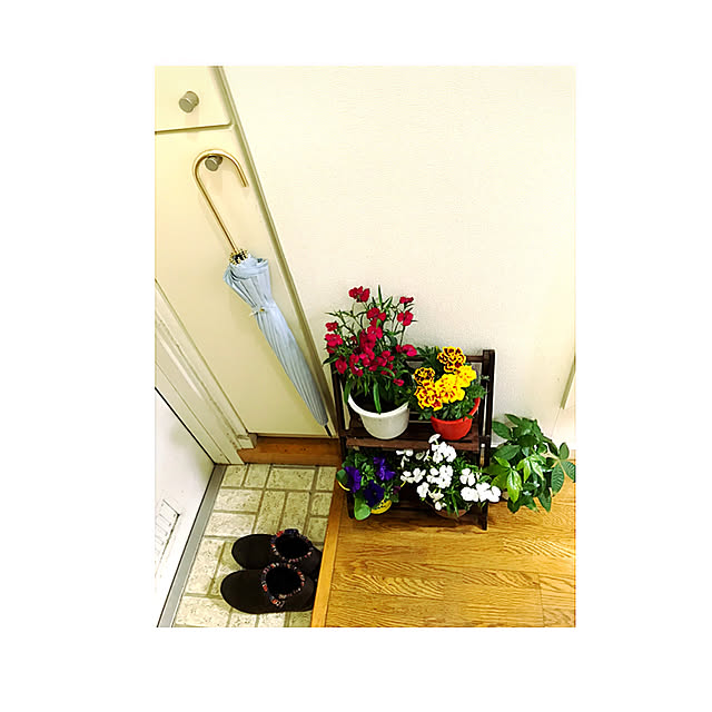 sakuramiffyさんの実例写真